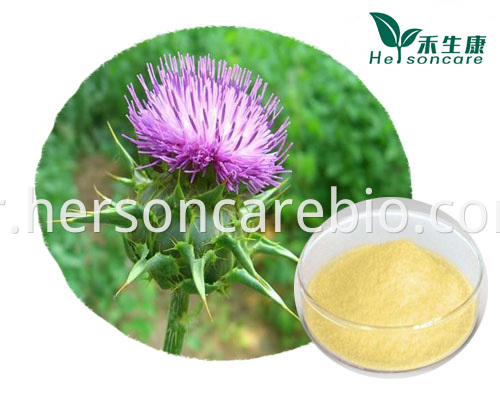 Milk Thistle Extract